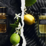 Dolce & Gabbana Kolekcja Re-Edition – Sicily 2003 & Masculine 1999