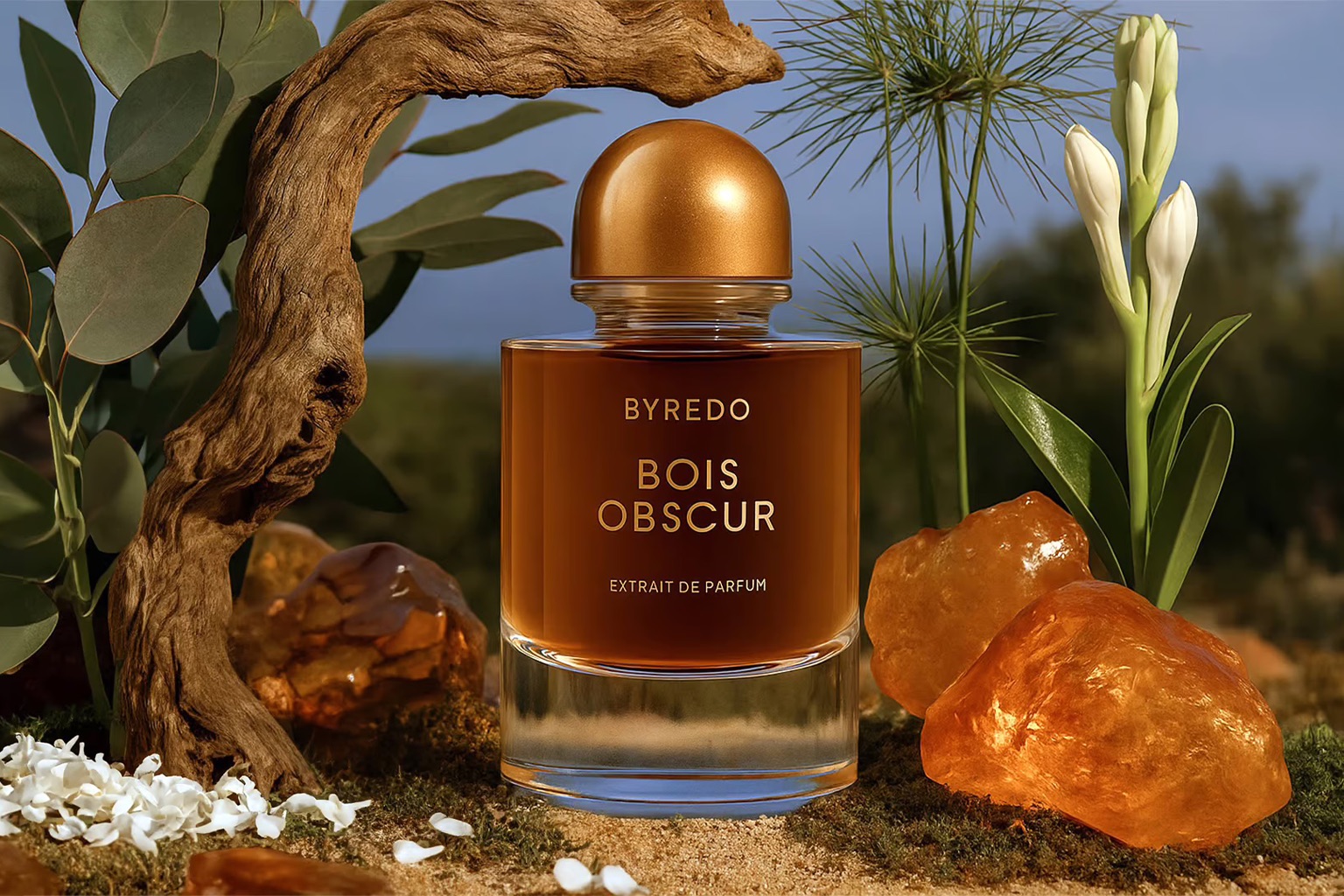 Ekstrakt perfum Byredo Bois Obscur