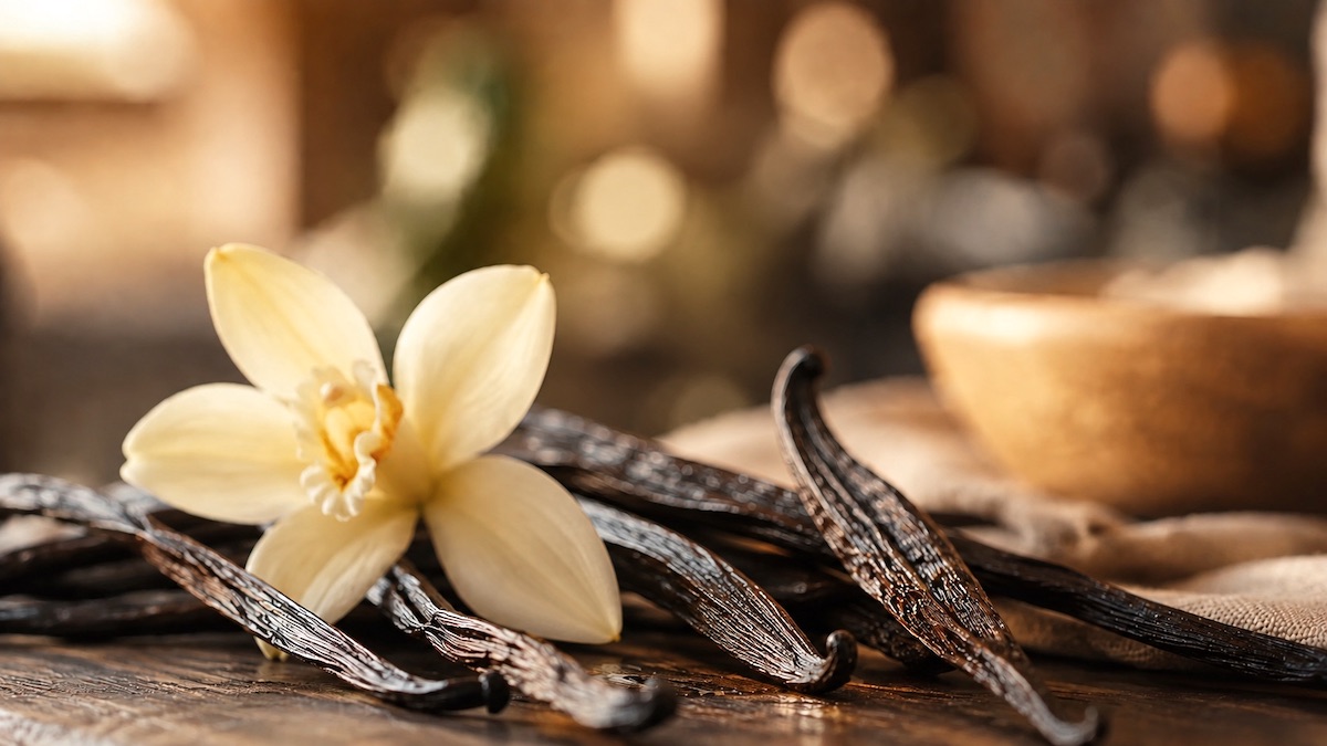 Absolut wanilii Vanilla planifolia - wysuszone strąki wanilii wykorzystywane w perfumerii
